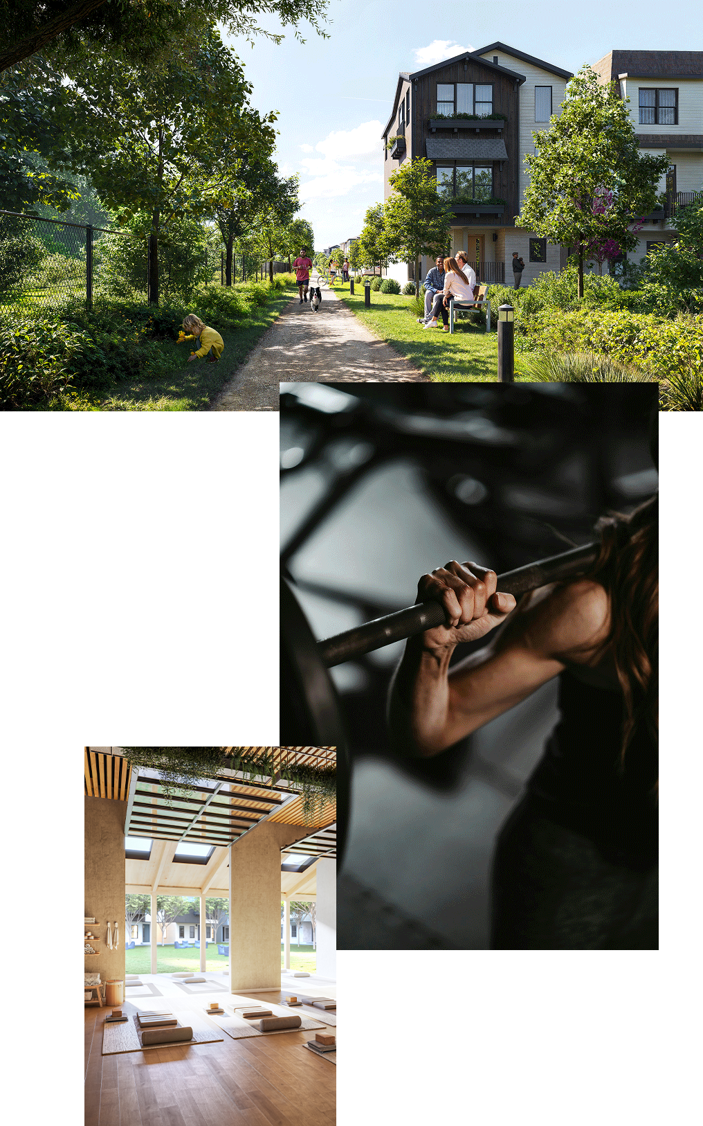 Wellness-4